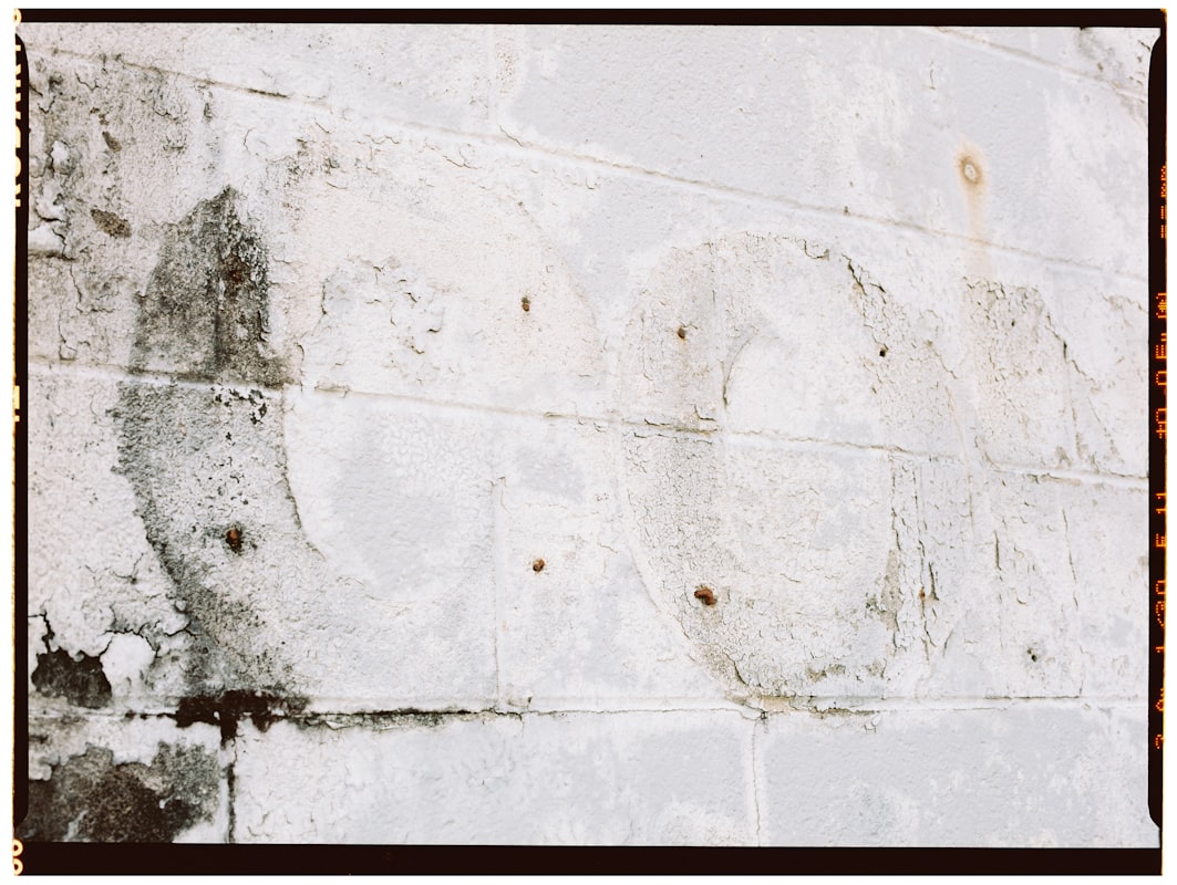 Water Extraction service in Irving, TX