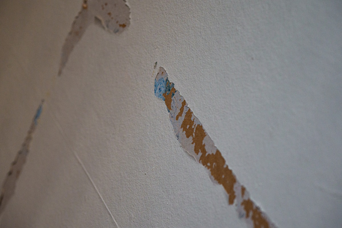 Structural Drying service in Irving, TX